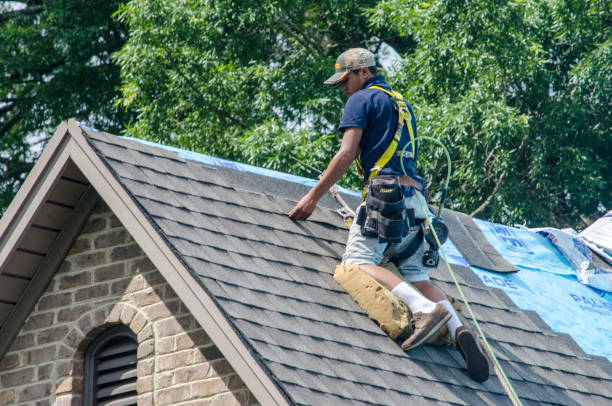Best Roof Maintenance Services  in Harmony, RI